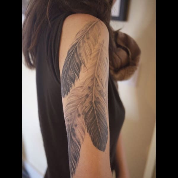 feather tattoo on arm