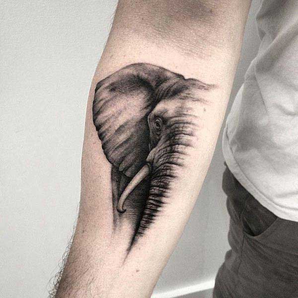 elephant tattoo on arm