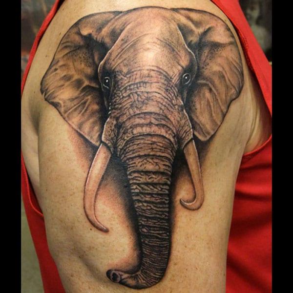 elephant arm tattoo
