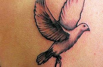 best-dove-tattoos-02