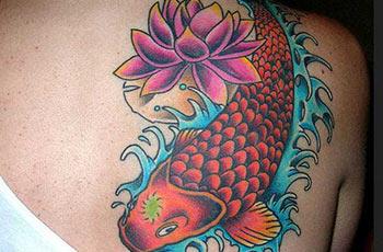 Koi Fish Meaning