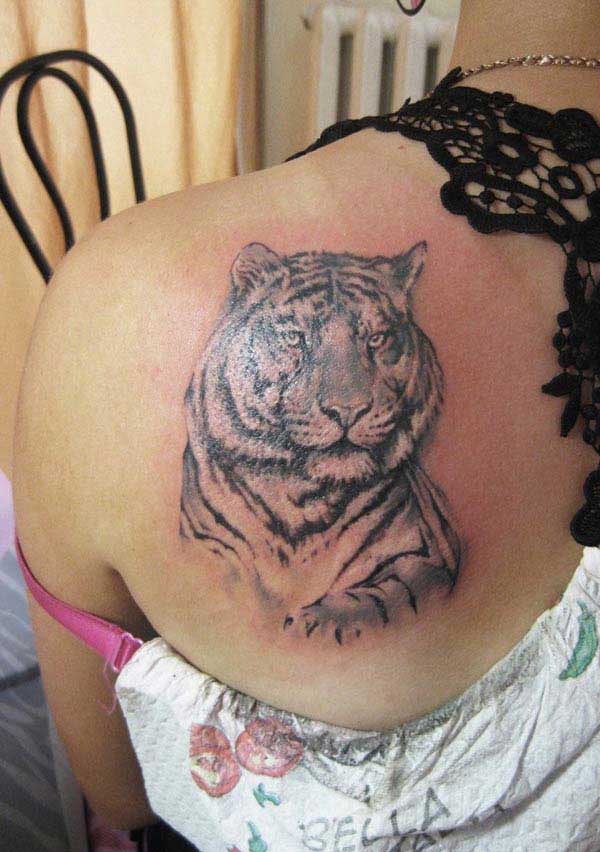 tiger designs tattoo