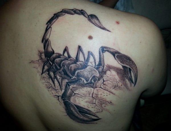 scorpion tattoo on back