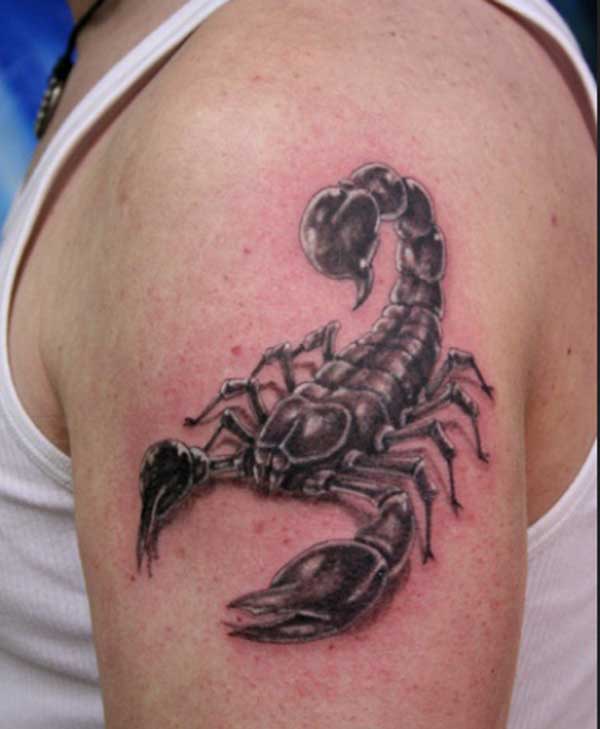 scorpion tattoo pictures