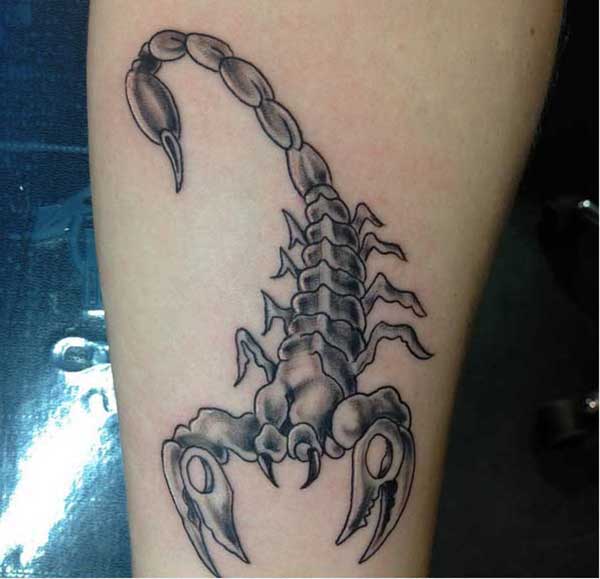 best scorpion tattoos