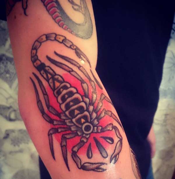 scorpion tattoo images