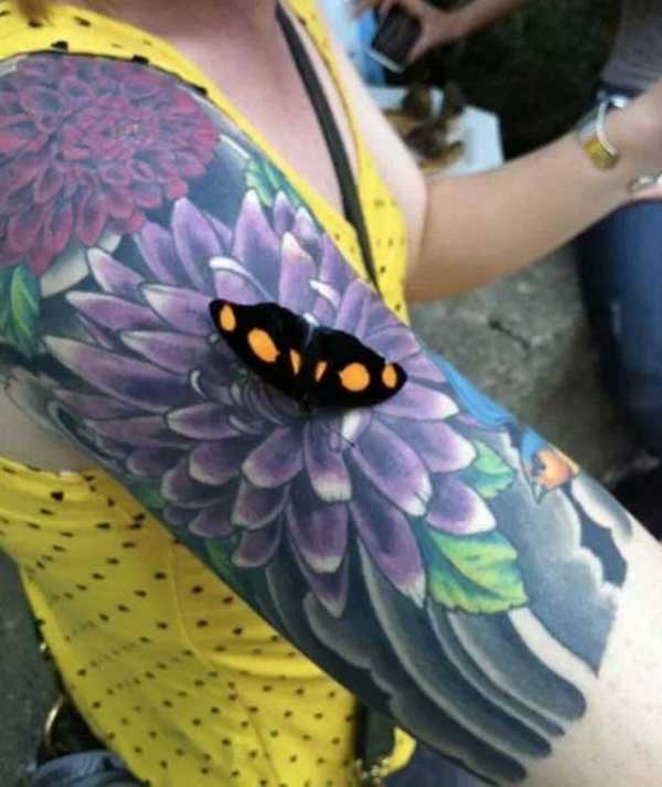 beautiful half sleeve tattoo for women