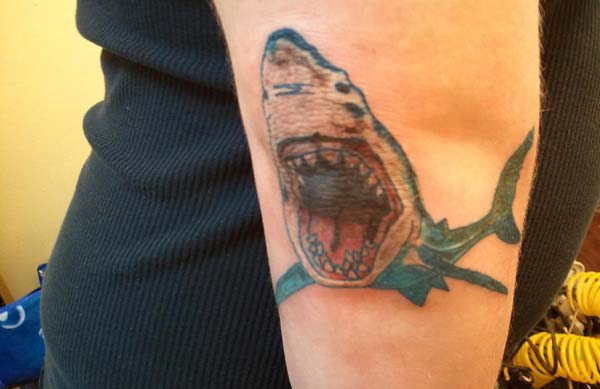 shark elbow tattoo design idea for ladies