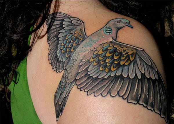 Dove tattoo design idea on shoulder for girls
