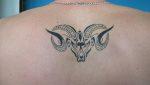 Best 25 Aries Tattoos Design Idea for Men and Women - Tattoos Ideas