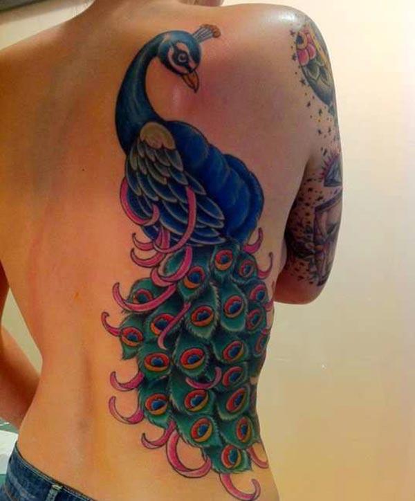 The blue ink design in of the Peacock Tattoo on the back, make girls have splendid look