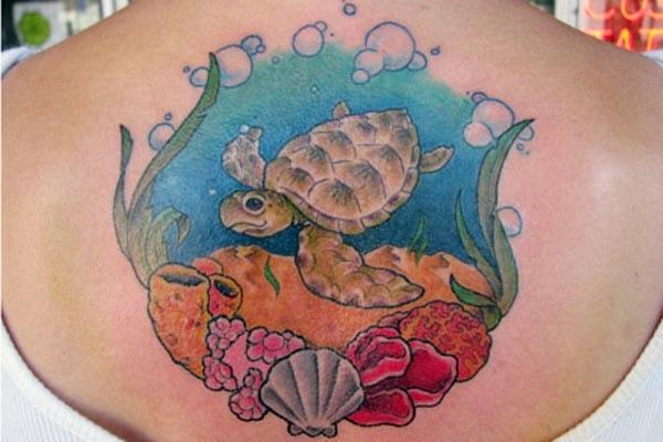 Turtle tattoo at the back brings the captivating look