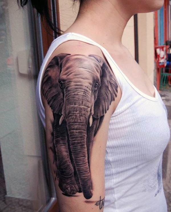 Elephant tattoo on the shoulder make them look splendid 