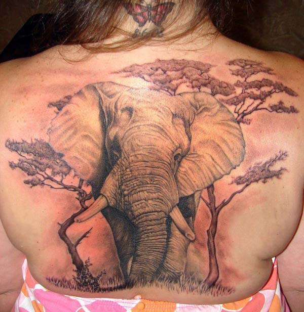 Elephant tattoo on the back brings the elegant gaze