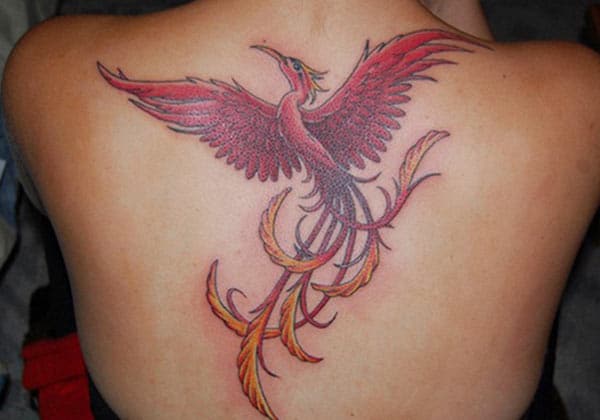 Phoenix tattoo with pink ink design brings a gorgeous look