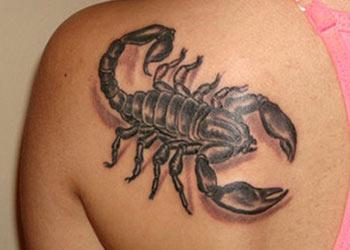Best Scorpion Tattoo