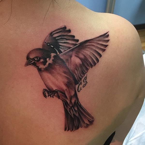 classic bird tattoo design on back shoulder for girls and ladies