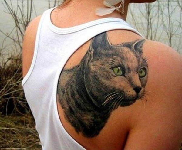 hyperrealistic cat tattoo design on back shoulder for ladies
