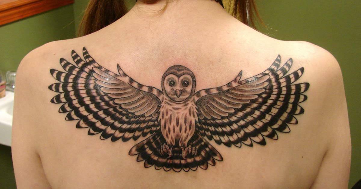 Owl tattoos for Women - Best Owl Tattoo Tattoos Ideas