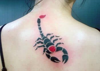 Scorpion Tattoo Design for Women