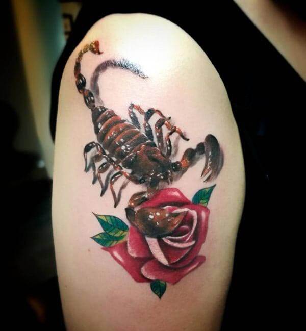 A spellbinding scorpion tattoo design on upper arm for ladies